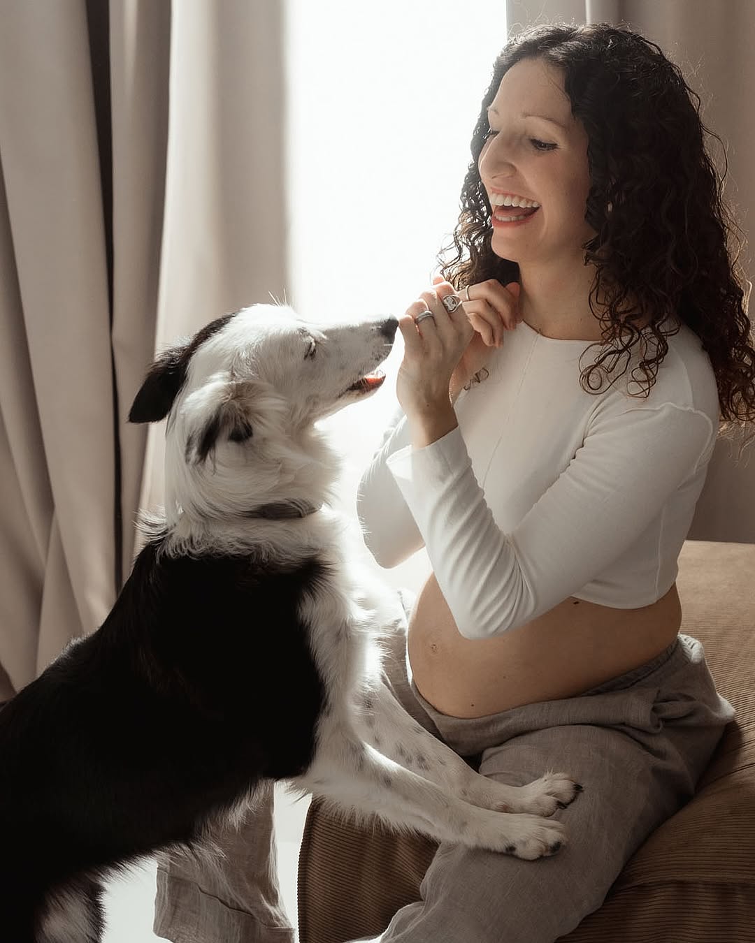 Mascotas en mi estudio🐾🐶🐈siempre bienvenidos✨  #fotografiadeembarazo #sesi...